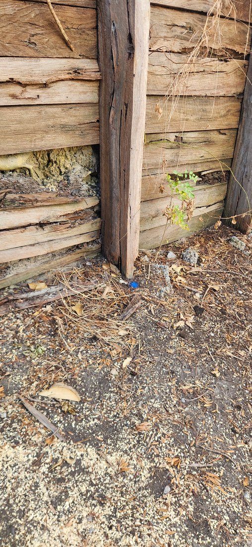 The failing timber retaining wall at first inspection
